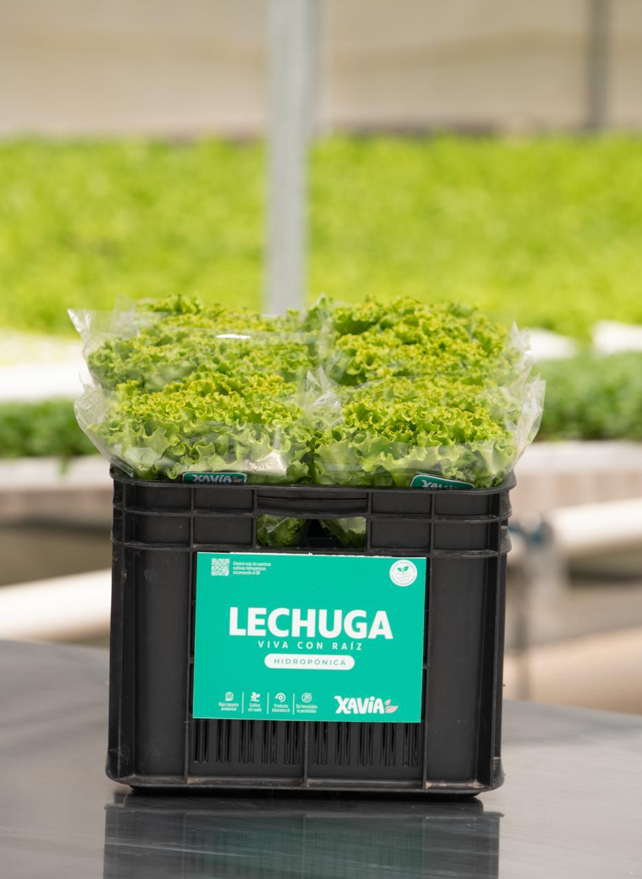 Producto Xavia envasado listo para supermercados